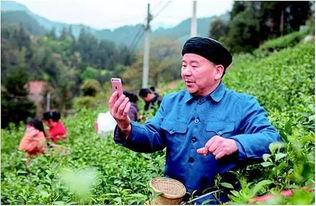 农民网红爆料视频大全最新,揭秘农村生活新视角